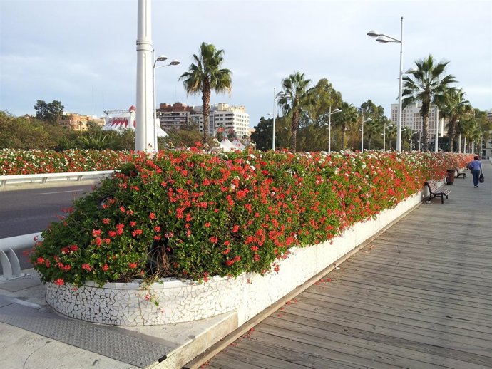 Imagen Del Puente De Las Flores, En Valencia.
