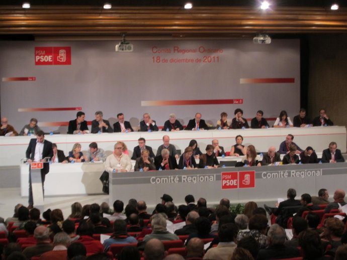 Tomás Gómez Durante Su Intervención Ante El Comité