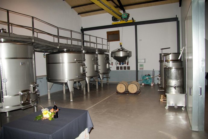 Puente Grúa De La Bodega Tinto Jaramiel