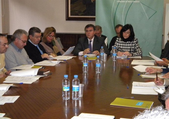 Francisco Fernández España Y Belén Gualda En Los Comités De Gestión