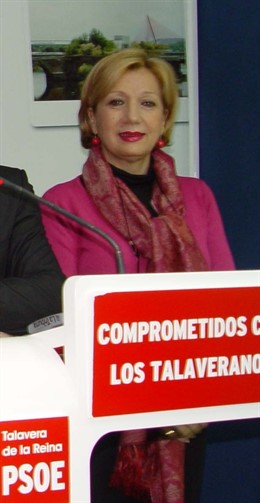 Nieves Arriero, PSOE