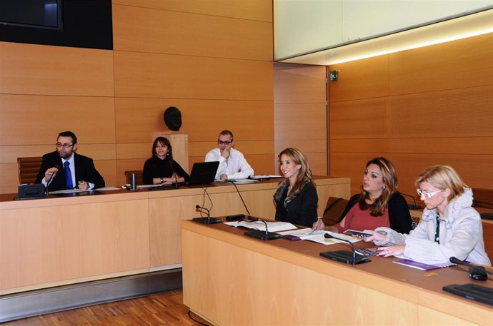 Consejo Insular De La Mujer