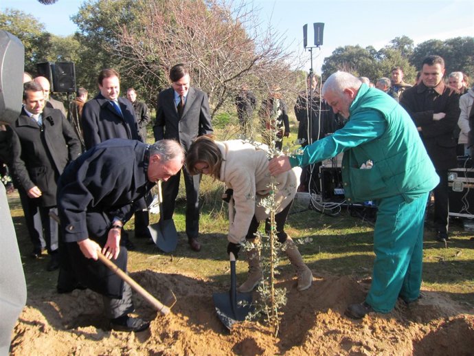 Botella En La Plantación De Árboles Del Plan Compensa