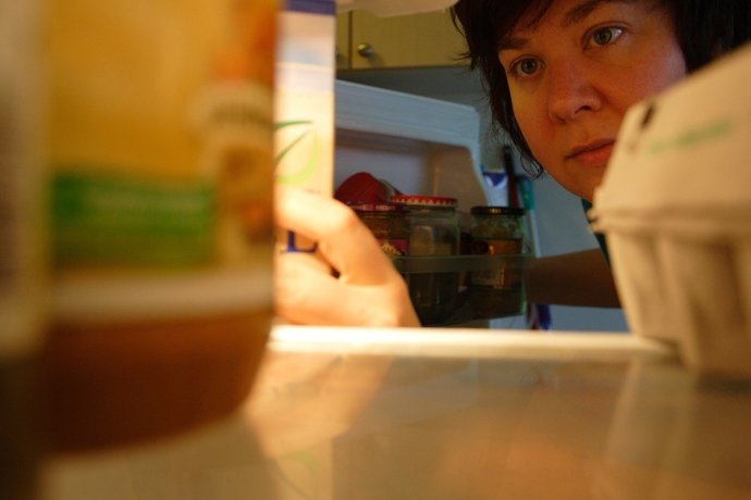 Nevera, Obesidad, Comida