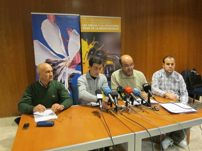 Juanta Directiva De Apaex