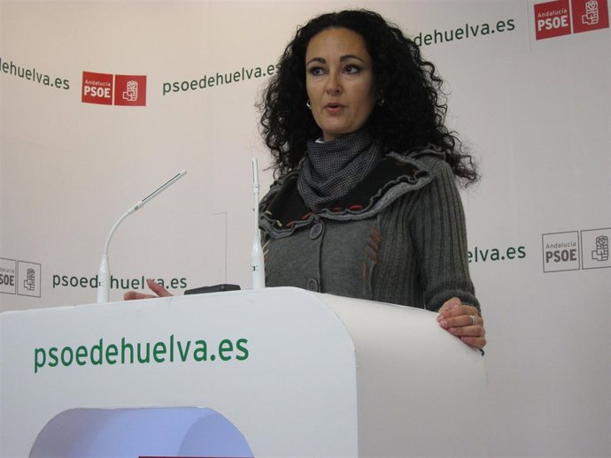 La Parlamentaria Socialista Lourdes Martín En Una Rueda De Prensa.