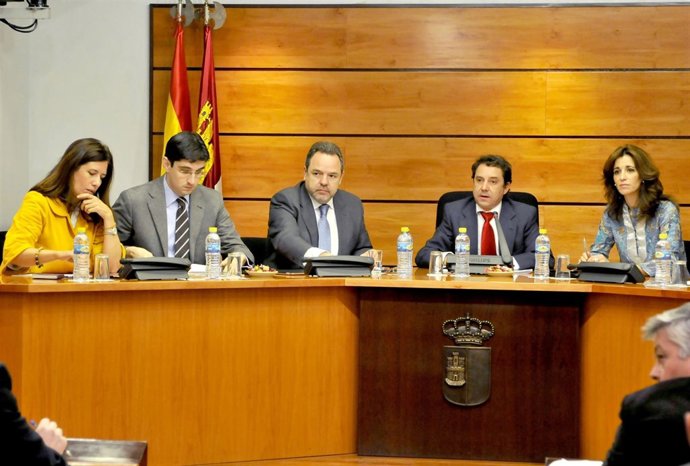 Labrador En La Comisión