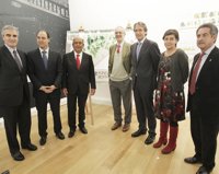 El Centro Botín se desplazará 100 m para no mover la Grúa de Piedra y costará 77 millones tras incluir un túnel