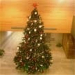 Árbol De Los Recuerdos