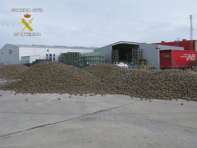 150 Kg Incautados Por La Guardia Civil En Castilla Y León