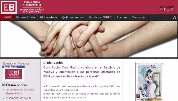 Página Web Caja Madrid Enfermos Hidrocefalia Y Espina Bífida