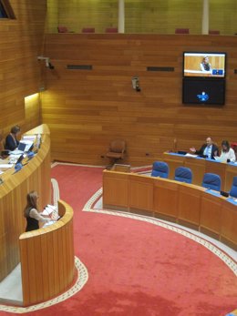 Pleno Votación Enmiendas