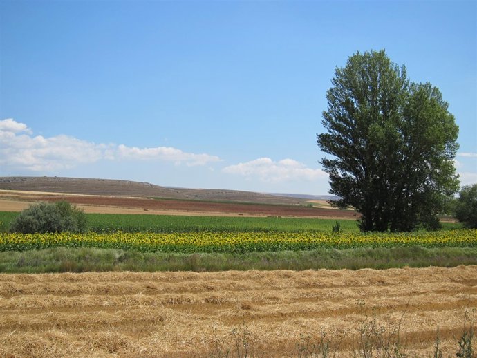 Campos De Cultivo, Turismo Rural