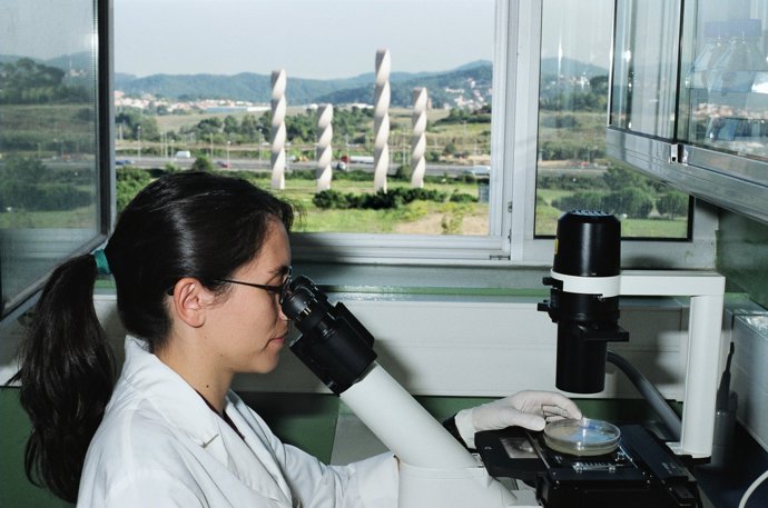 Investigadora de la UAB