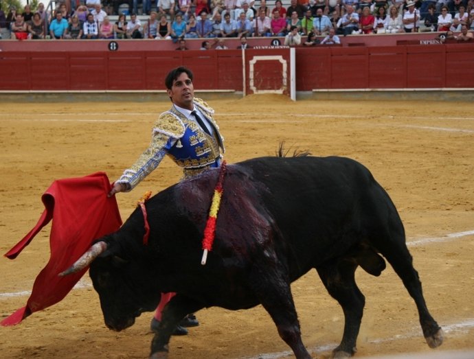 El Torero Francisco Rivera