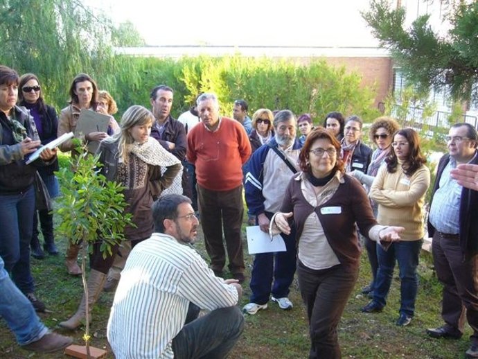 Actividad 'Crece Con Tu Árbol' De La Junta En Huelva