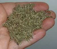 Recomiendan tomar anís y menta tras las comidas navideñas para combatir el empacho