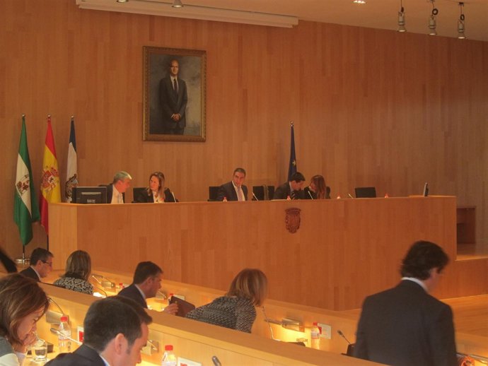 Pleno Extraordinario De La Diputación