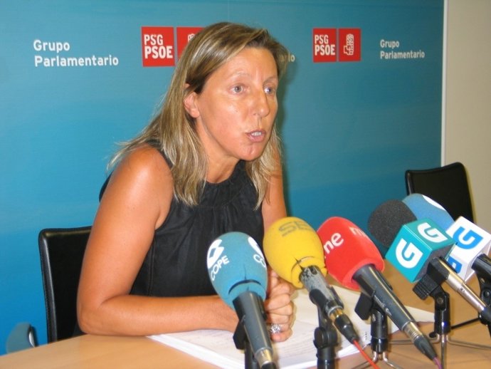 Carmen Gallego, Diputada Del Psdeg