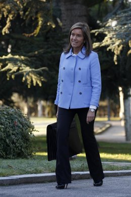 Vídeo de la noticia