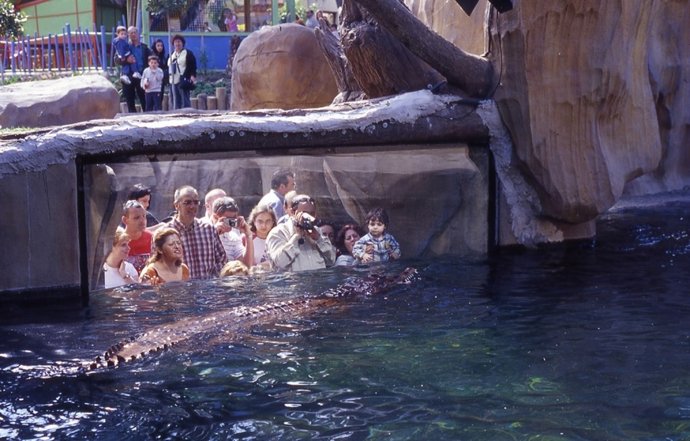 Visitantes De Bioparc Fuengirola