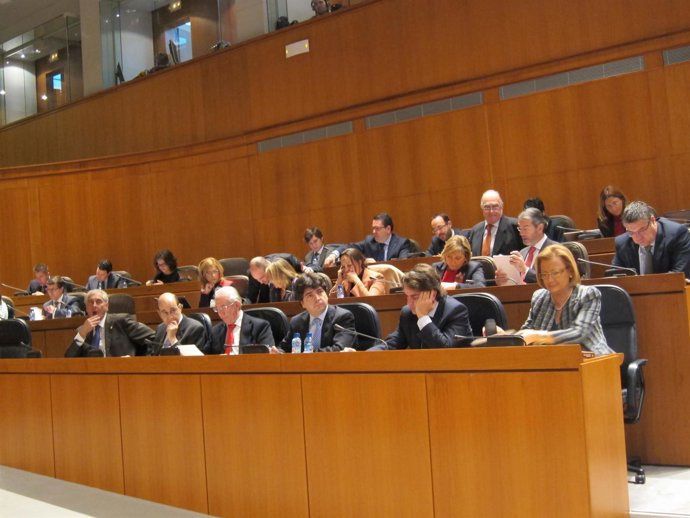 Pleno En Las Cortes De Aragón