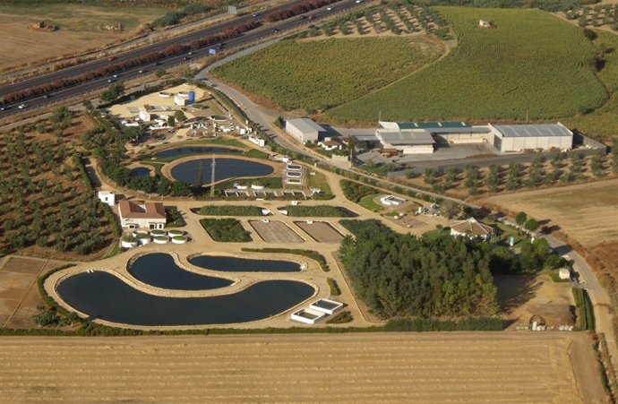 Vista Área De La Planta Experimental Del Centa En Carrión De Los Céspedes