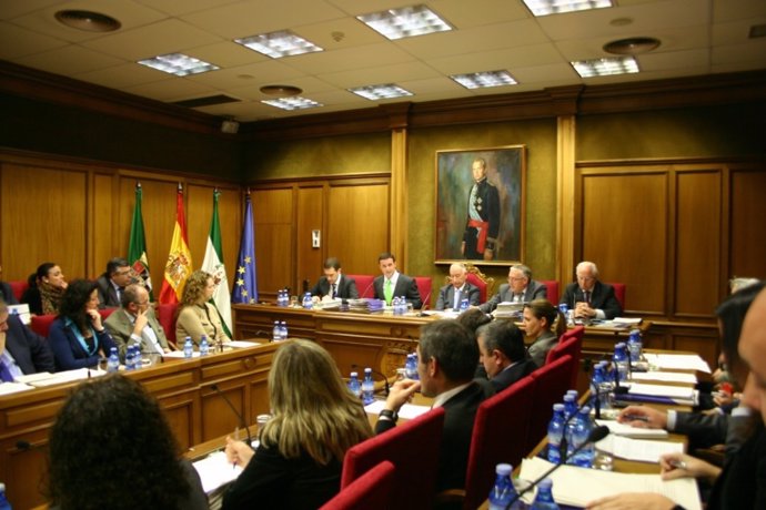 Pleno En La Diputación Provincial De Almería 