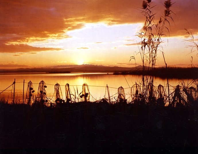 Atardecer En La Albufera de Valencia