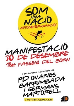 CARTEL MANIFESTACIÓN 31D