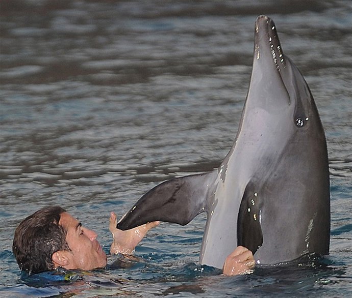 Cristiano Ronaldo Con Delfines