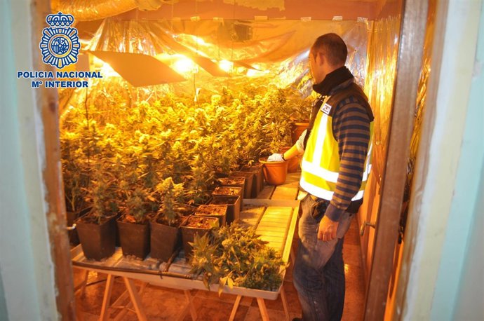 Operación De Desmantelamiento De Clan Familiar Narcos