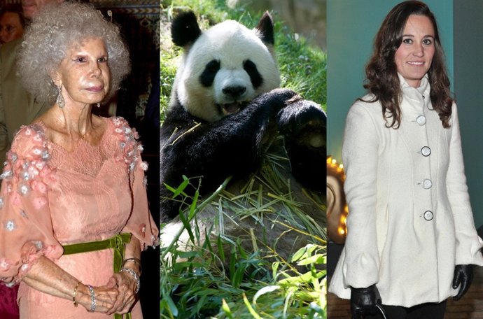 Montaje Duquesa De Alba, Un Panda Y Pippa Middleton