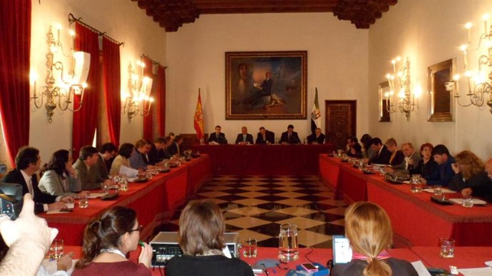 Pleno Diputación De Cáceres