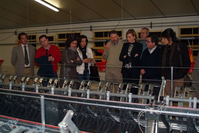 Inauguración Del Centro Reproductor De Pavos De Cañete La Real