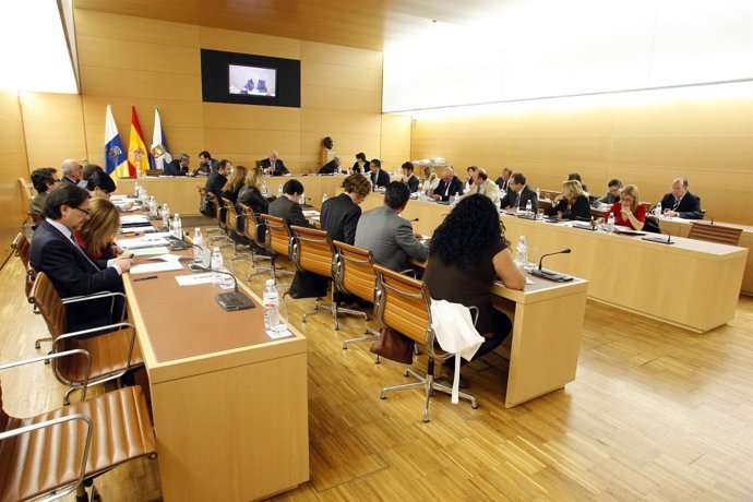 Pleno Del Cabildo De Tenerife