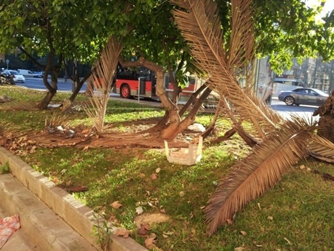 Efectos Del Viento En Valencia