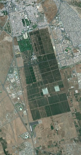 Finca Del Castillejo De Monteagudo (Murcia) 