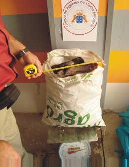 Mejillones Decomisados