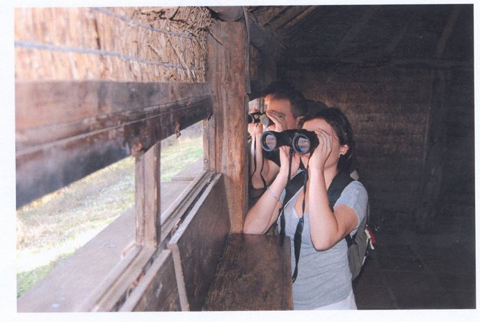 Observatorio De Aves