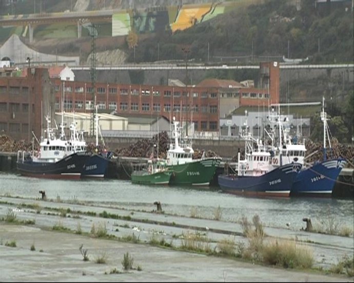 Barcos De Bajura De Bermeo,  Amarrados En Bilbao