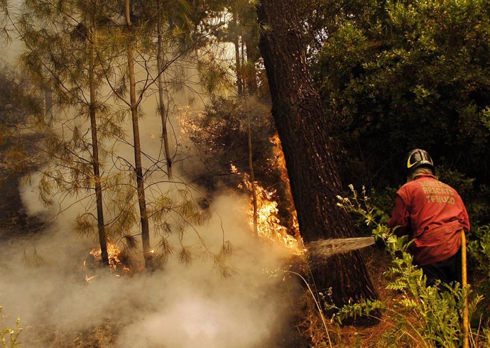 Incendios Forestales En Chile