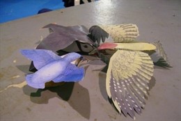 Taller De Educación Ambiental Del Salón Infantil 'Expoguay'