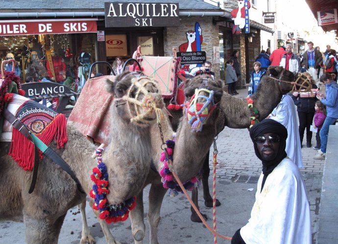 Camellos Reales En Sierra Nevada