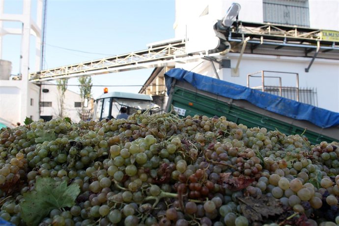 Cooperativa agrícola productora de vino