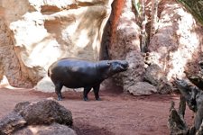 Instalaciones De Parques Reunidos 