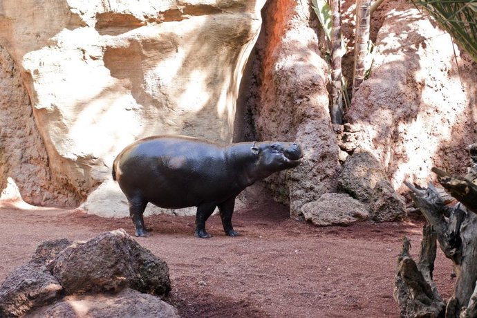 Instalaciones De Parques Reunidos 
