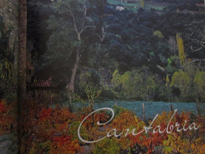 Libro Bebidas Atlánticas