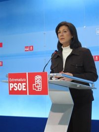 El PSOE de Extremadura exige al Gobierno regional que "dé explicaciones" sobre el futuro del Aeropuerto de Badajoz