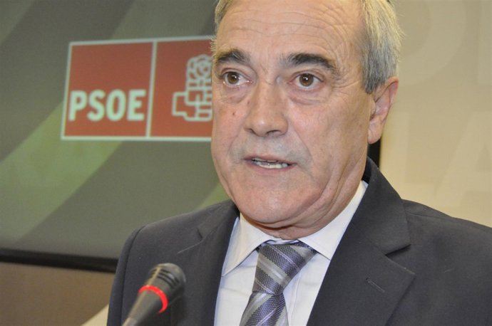 Portavoz Del Grupo Parlamentario Del PSOE En Las Cortes De Aragón, Javier Sada